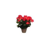 BOTANIC®-Bégonia rose plante artificielle en pot gris H 30 x diamètre 25 cm