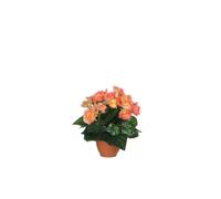 BOTANIC®-Bégonia saumon artificiel en pot Campana Terra H 25 x diamètre 20 cm