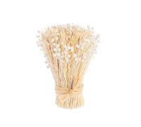 BOTANIC®-Botte boutons de fleurs séchées coloris beige naturel - 14 x 14 x 20 cm