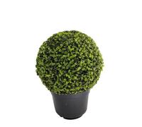 BOTANIC®-Boule buis articielle en pot - diamètre 22 cm
