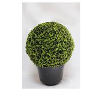 BOTANIC®-Boule de buis artificiel en pot - diamètre 28 cm