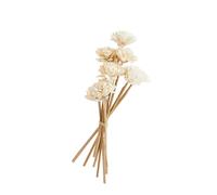 BOTANIC®-Bouquet de 8 fleurs artificielles Zinia coloris blanc - diamètre 4 cm