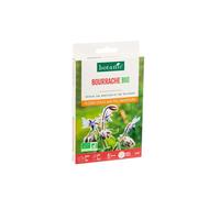 BOTANIC®-Bourrache bio botanic - graines à semer (3 m²)