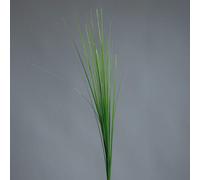 BOTANIC®-Branche artificielle d’Isolepsis vert clair - 70 cm