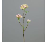 BOTANIC®-Branche artificielle de Bouvardia blanc rose - 54 cm