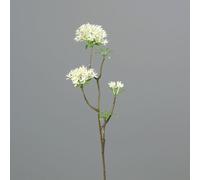 BOTANIC®-Branche artificielle de Bouvardia crème - 54 cm