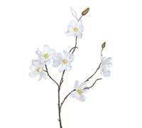 BOTANIC®-Branche de magnolia artificiel crème à 6 fleurs - 82 cm
