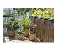 BOTANIC®-Brise vue en osier chinois 300 x 200 cm