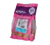 BOTANIC®-Bulbes d’échalotes longue Jermor calibre 15/35, 250 g