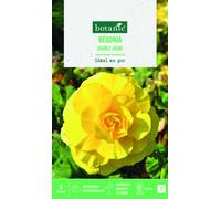 BOTANIC®-Bulbes de fleurs Bégonia double jaune botanic - 3 bulbes