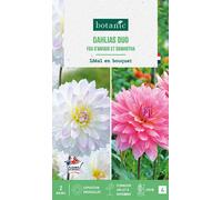 BOTANIC®-Bulbes de fleurs duo de Dahlias décoratifs Fou d’amour / Samantha botanic - 2 bulbes