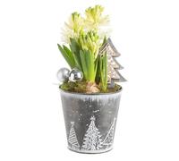 BOTANIC®-Composition de Noël 3 jacinthes multicolore pont en zinc