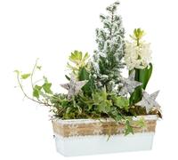 BOTANIC®-Composition jardinette pot zinc blanc décor ruban rustique - 22 cm