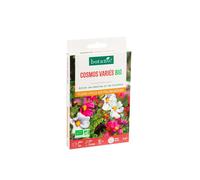 BOTANIC®-Cosmos bipinnatus variés bio botanic - graines à semer (3 m²)