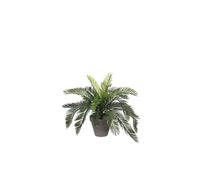 BOTANIC®-Cycas palmier artificiel vert en pot Stan gris H 48 x diamètre 44 cm