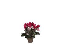 BOTANIC®-Cyclamen rose foncé plante artificielle en pot gris H 30 x diamètre 30 cm