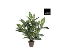 BOTANIC®-Dieffenbachia plante artificielle verte en pot gris H 70 x diamètre 55 cm