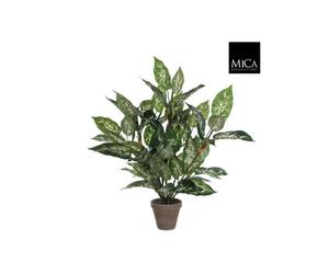 BOTANIC®-Dieffenbachia plante artificielle verte en pot gris H 70 x diamètre 55 cm