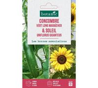BOTANIC®-Duo de graines concombre vert long maraîcher et graines de tournesol (soleil uniflorus gigan) botanic - graines à semer