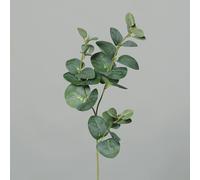 BOTANIC®-Eucalyptus branche artificiel - 64 cm