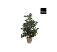 BOTANIC®-Ficus Exotica vert plante artificielle en pot gris H 65 x diamètre 40 cm