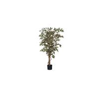 BOTANIC®-Ficus Hawaii vert panaché plante artificielle en pot H 150 x diamètre 65 cm