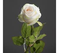 BOTANIC®-Fleur artificielle Rose brésil beige