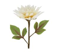 BOTANIC®-Fleur en mousse beige - diamètre 25 x H 77 cm