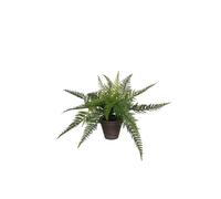 BOTANIC®-Fougère verte artificielle en pot Stan gris H 38 x diamètre 50 cm