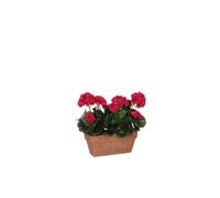 BOTANIC®-Géranium rose foncé plante artificielle jardinière Terra 29x13x40 cm