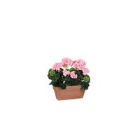 BOTANIC®-Géranium rose plante artificielle en jardinière Terra 29x13x40 cm