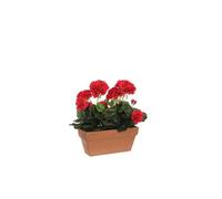 Plante Artificielle - Mica Decorations - Géranium - Rouge - 29x13x40 cm - Intérieur