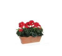 BOTANIC®-Géranium rouge plante artificielle en jardinière Terra 39x13x40 cm