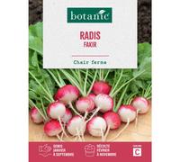 BOTANIC®-Graine de radis fakir botanic - graines à semer