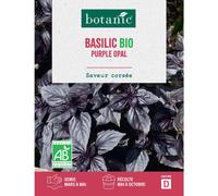 BOTANIC®-Graines de Basilic purple opal bio botanic - graines à semer