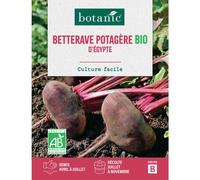 BOTANIC®-Graines de betterave d'Egypte bio botanic - graines à semer