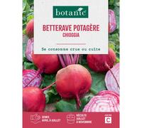 BOTANIC®-Graines de Betterave potagère Chioggia botanic - graines à semer