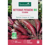 BOTANIC®-Graines de Betterave potagère cylindra bio botanic - graines à semer