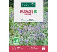 BOTANIC®-Graines de bourrache officinale bio botanic - graines à semer