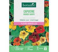 BOTANIC®-Graines de capucine grande variée botanic - graines à semer
