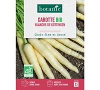 BOTANIC®-Graines de carotte blanche de Kuttingen bio botanic - graines à semer