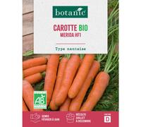 BOTANIC®-Graines de Carotte merida hybride F1 bio botanic - graines à semer