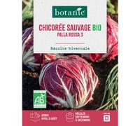 BOTANIC®-Graines de chicorée sauvage palla rossa 3 bio botanic - graines à semer
