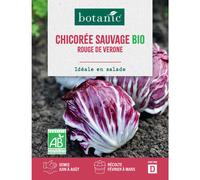 BOTANIC®-Graines de Chicorée sauvage rouge de Vérone bio botanic - graines à semer