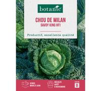 BOTANIC®-Graines de chou de Milan roi des Milans HF1 botanic - graines à semer