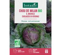 BOTANIC®-Graines de Chou de milan saint Michèle bio botanic - graines à semer