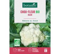 BOTANIC®-Graines de Chou-fleur igloo bio botanic - graines à semer