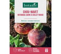 BOTANIC®-Graines de Chou-navet rutabaga jaune à collet rouge botanic - graines à semer