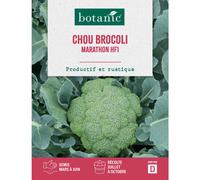 BOTANIC®-Graines de choux brocolis marathon HF1 botanic - graines à semer