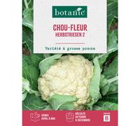 BOTANIC®-Graines de choux-fleur géant d'automne primus botanic - graines à semer